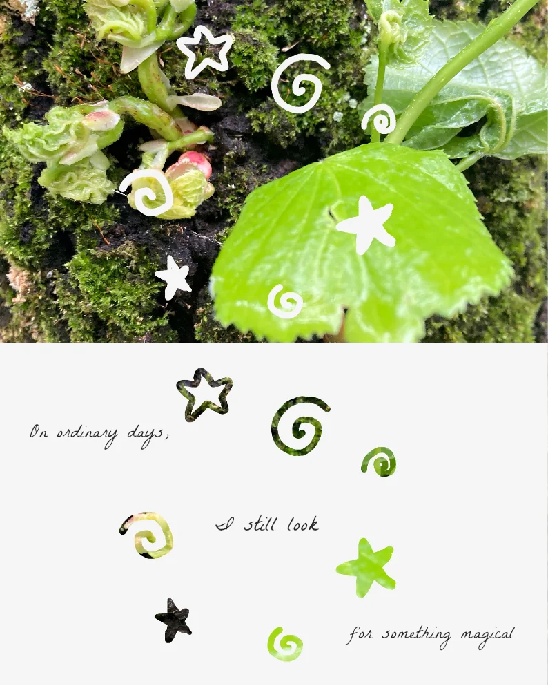 植物写真を使ったナチュラルなコラージュ